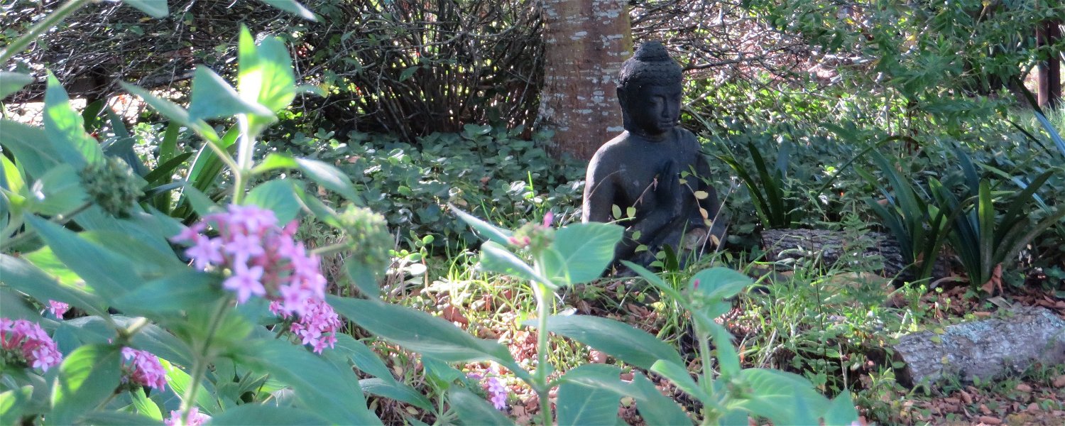 buddhist meditation, retreats