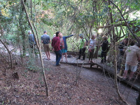 forest nature guiding at Peace of Eden Vegan lodge in Knysna south africa forest nature guiding at Peace of Eden Vegan lodge in Knysna south africa