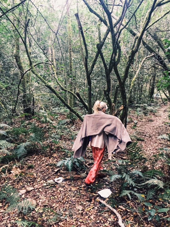 forests stays in knysna at magical safe peaceful peace of eden filed with wild life nature eco forest hikes and monkeys