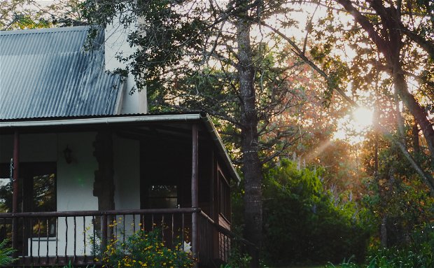 Cozy forest cabin in the heart of Knysna, South Africa, Garden Route in a vegan eco lodge, Peace of Eden