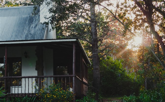 Cozy forest cabin in the heart of Knysna, South Africa, Garden Route in a vegan eco lodge, Peace of Eden