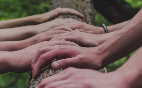 healing hands, therapists ,offerings, yoga, breathwork, reiki, all at peace of eden vegan nature lodge and retreat, knysna, souht africa