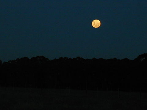 Moon and stargazing Moon and stargazing