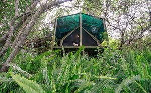 Morning Star Forest Tent