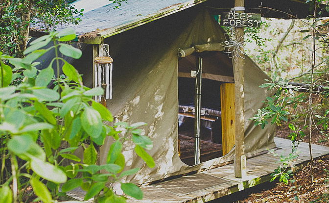 Forest Tents