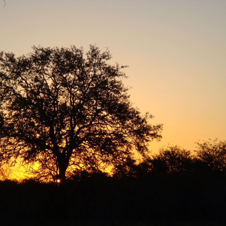 Kruger Sunrise Drive Kruger Sunrise Drive