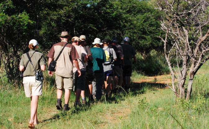 Kruger National Park Morning Walk 