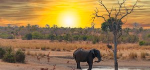 3-Night Safari Serenity · 18 Dec 2026 – 3 Jan 2027