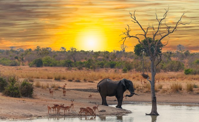 3-Night Safari Serenity · 18 Dec 2026 – 3 Jan 2027