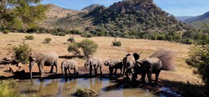 3-Night Safari Serenity · 4 Jan – 30 Apr 2027