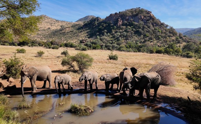 3-Night Safari Serenity · 4 Jan – 30 Apr 2027