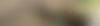 Hyena KNP