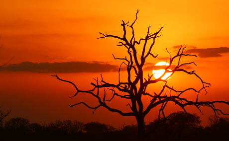 La Kruger Lifestyle Lodge - Kruger National Park - Sunset Drive