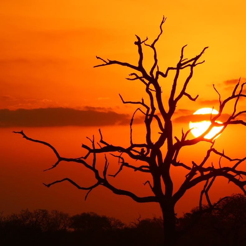 La Kruger Lifestyle Lodge - Kruger National Park - Sunset Drive La Kruger Lifestyle Lodge - Kruger National Park - Sunset Drive