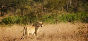 10% OFF 2-Day Twilight Retreat Package (Nov 2026 | Dec 2026)