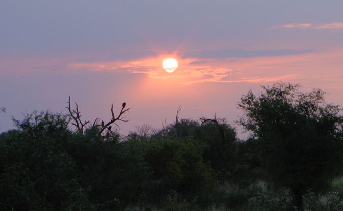 Kruger National Park Sunset Drive