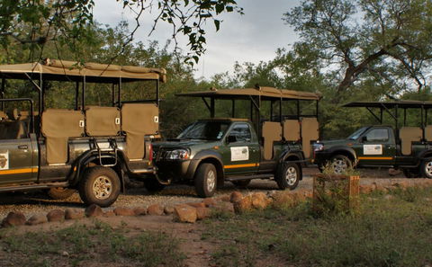 Open Vehicle Safaris