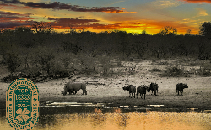 Kruger Black Friday - Green Stay - Big Five Special