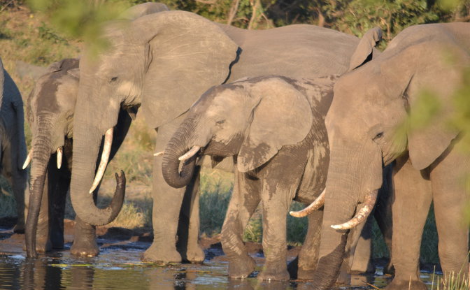 15% OFF 3-Day Wilderness Adventure Package (Nov 2026 | Dec 2026)