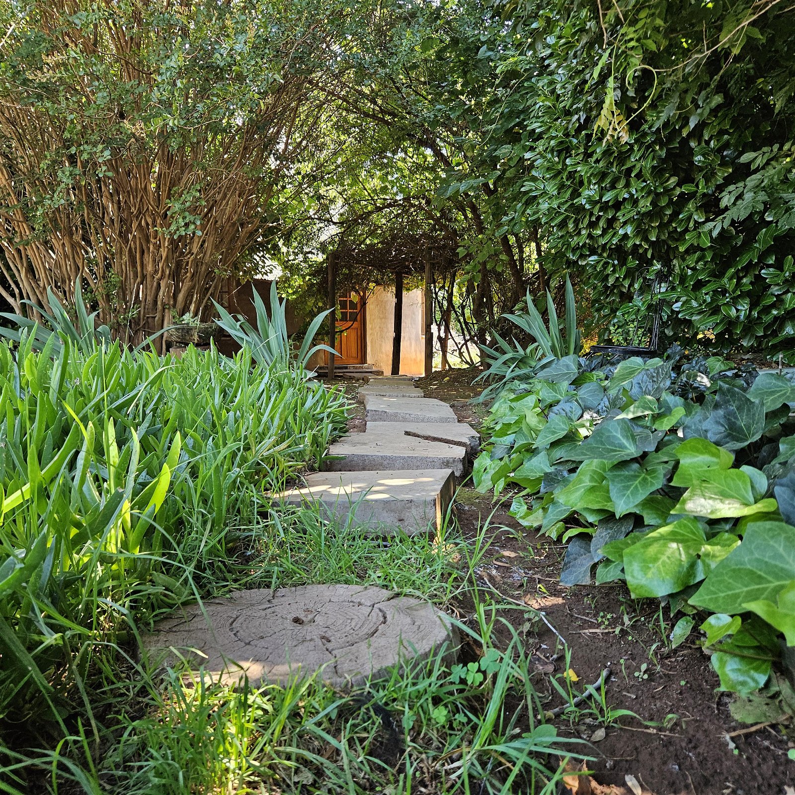 Welcome to Bird Haven Guesthouse 
