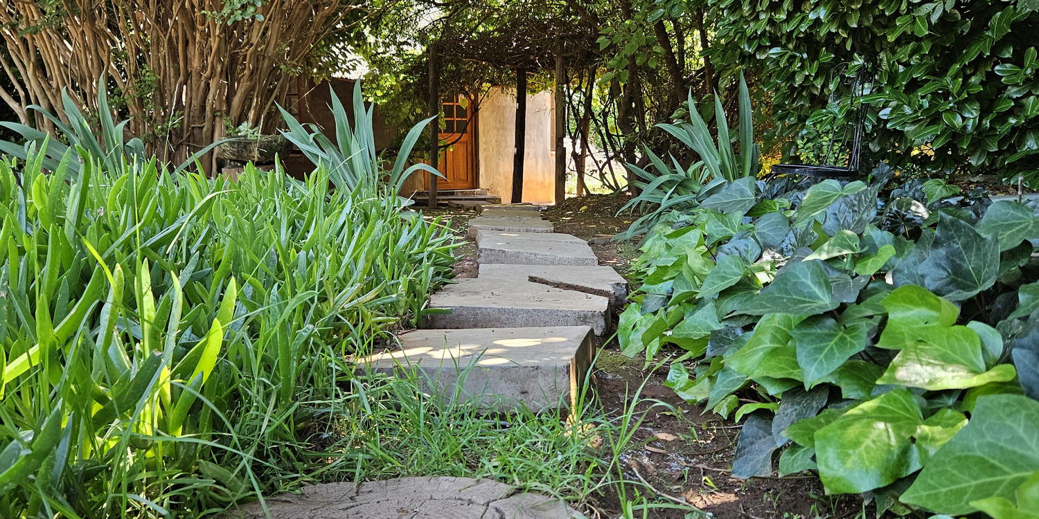 Welcome to Bird Haven Guesthouse