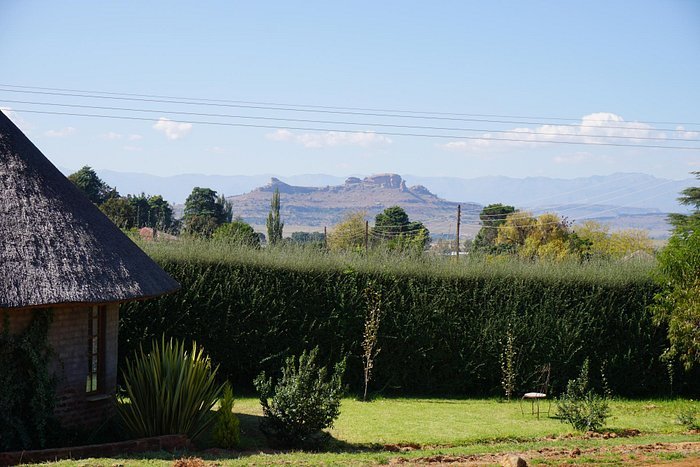 Explore Lesotho with Bird Haven