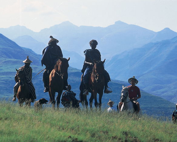 Visit Lesotho with Bird Haven