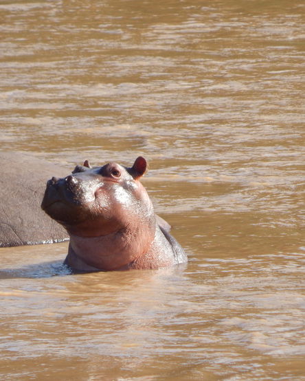 Olifants River Cruise