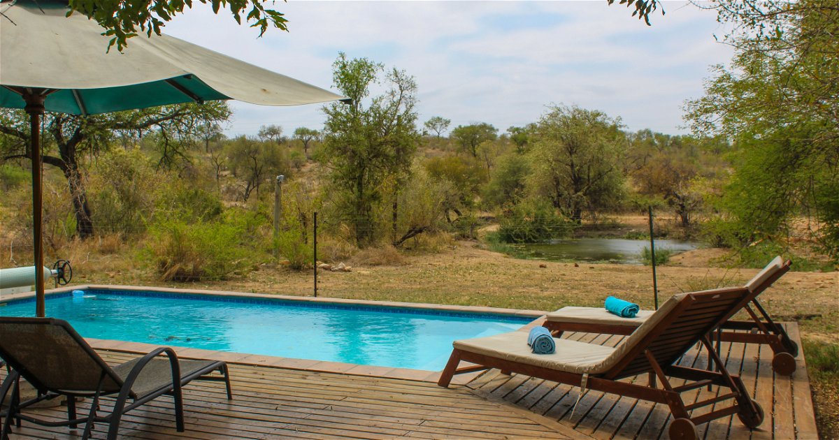 Zazu Private Bush Lodge (Formerly Masodini Game Lodge)