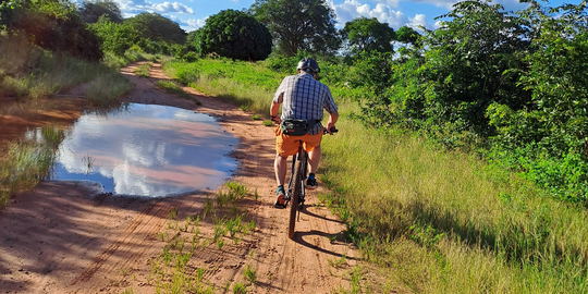 Wildlife Safari mit Cross-Country Touren