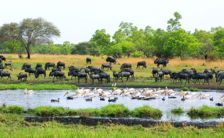 Liuwa Plains National Park  Liuwa Plains National Park