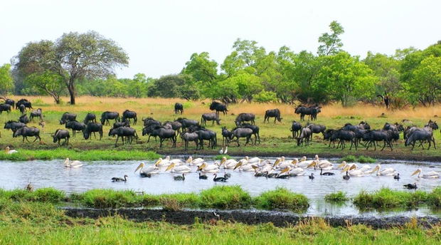 Liuwa Plains National Park 