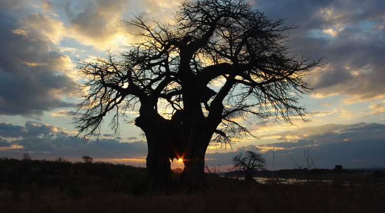 mobile safaris Zambia 