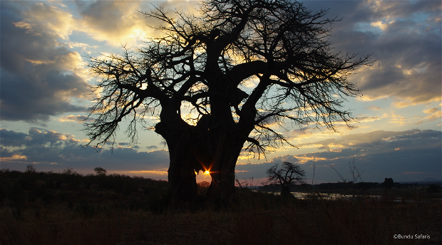 mobile safaris Zambia 