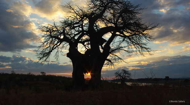mobile safaris Zambia mobile safaris Zambia