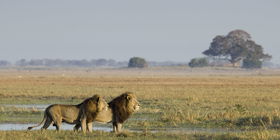 Kafue National Park von Süd nach Nord