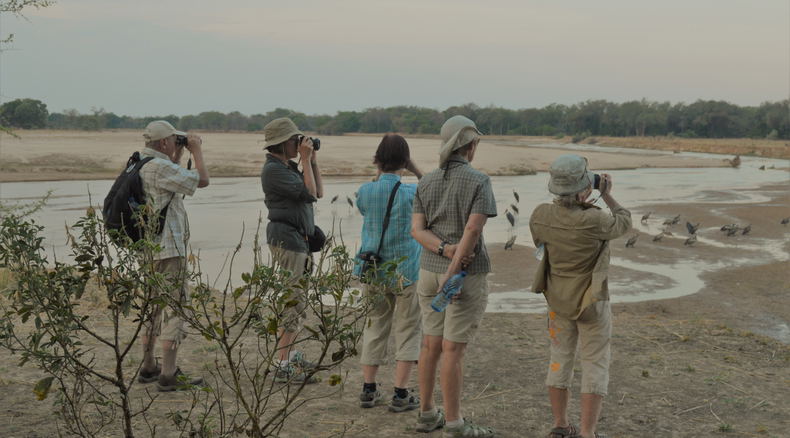 Walking Safari North Luangwa Adventure Purists 