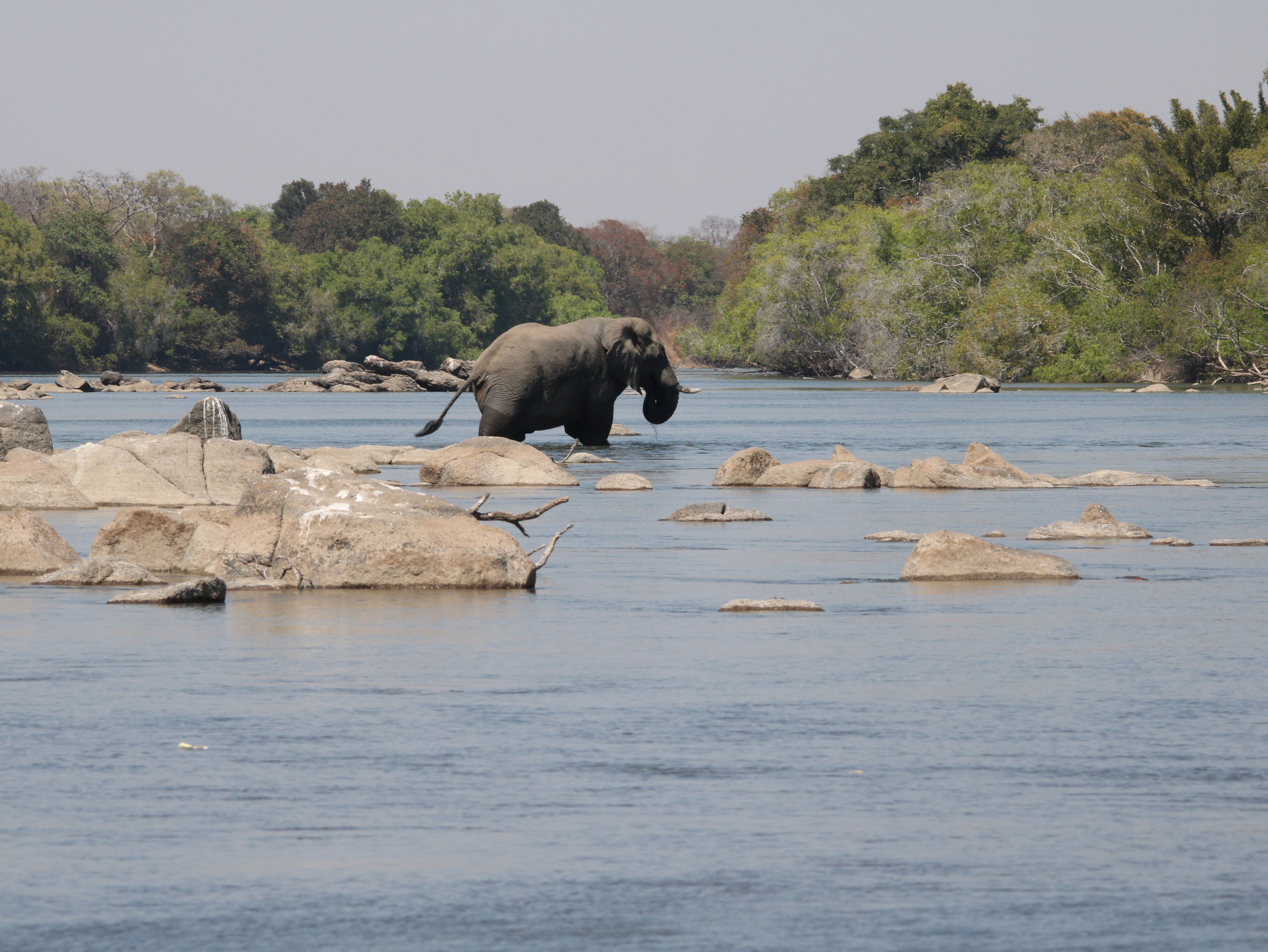 Kafue National Park Zambia 