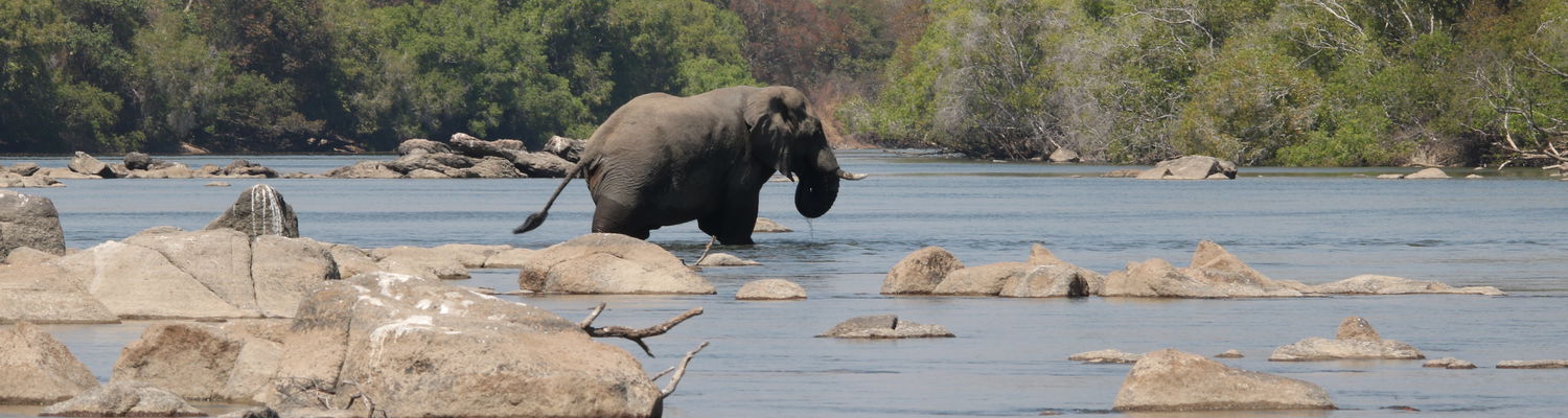 Kafue National Park Zambia 