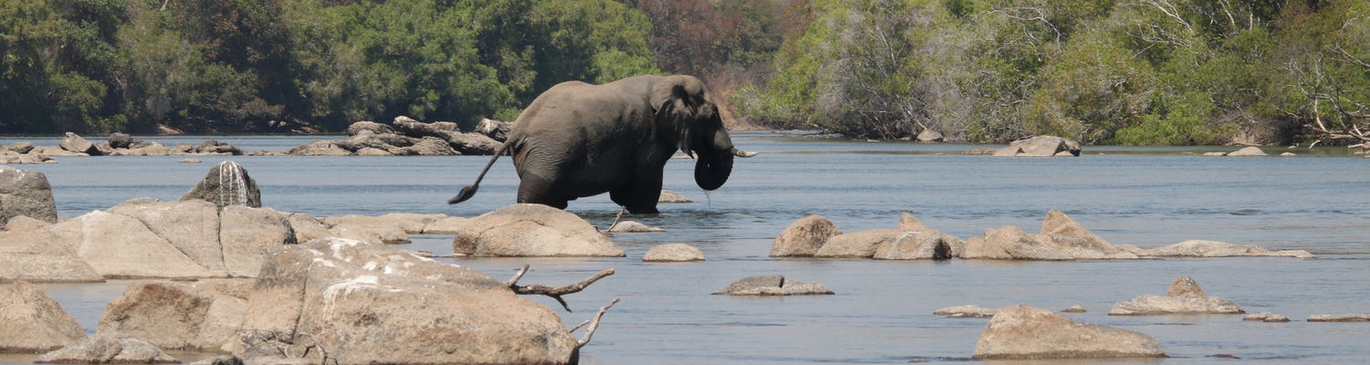 Kafue National Park Zambia