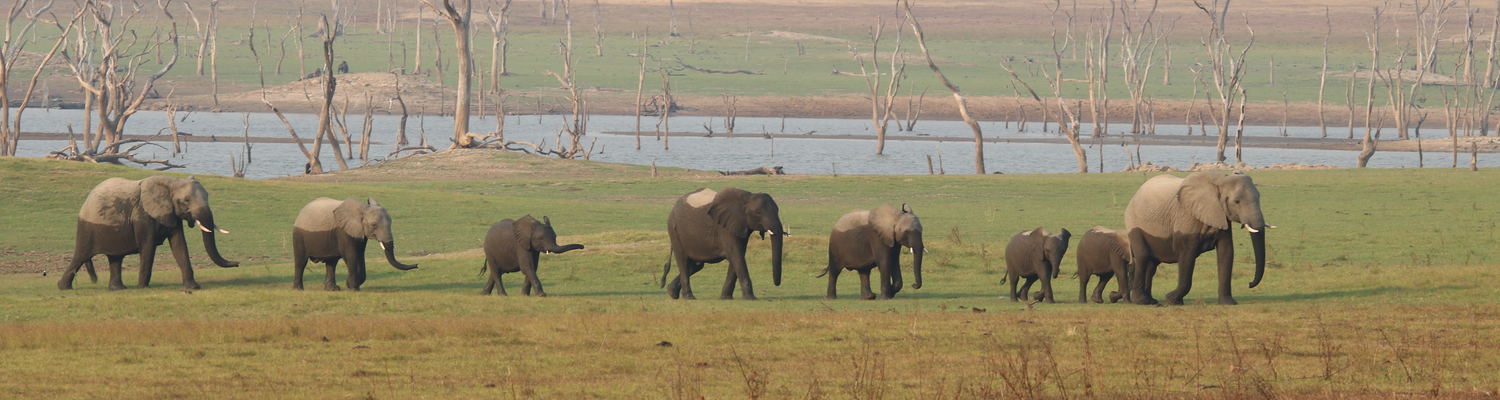 Ithezi Thezi Kafue