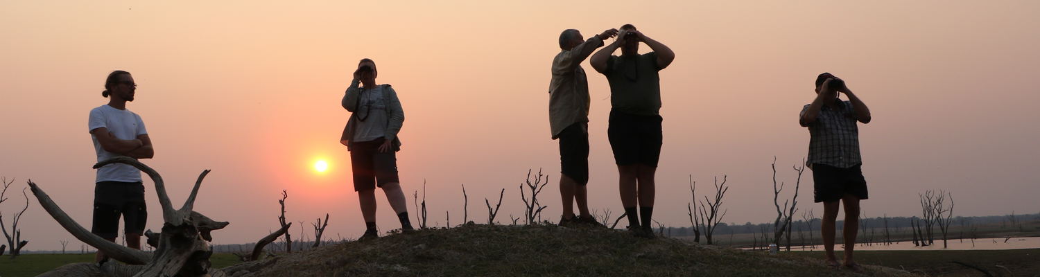 Kafue National Park Zambia 
