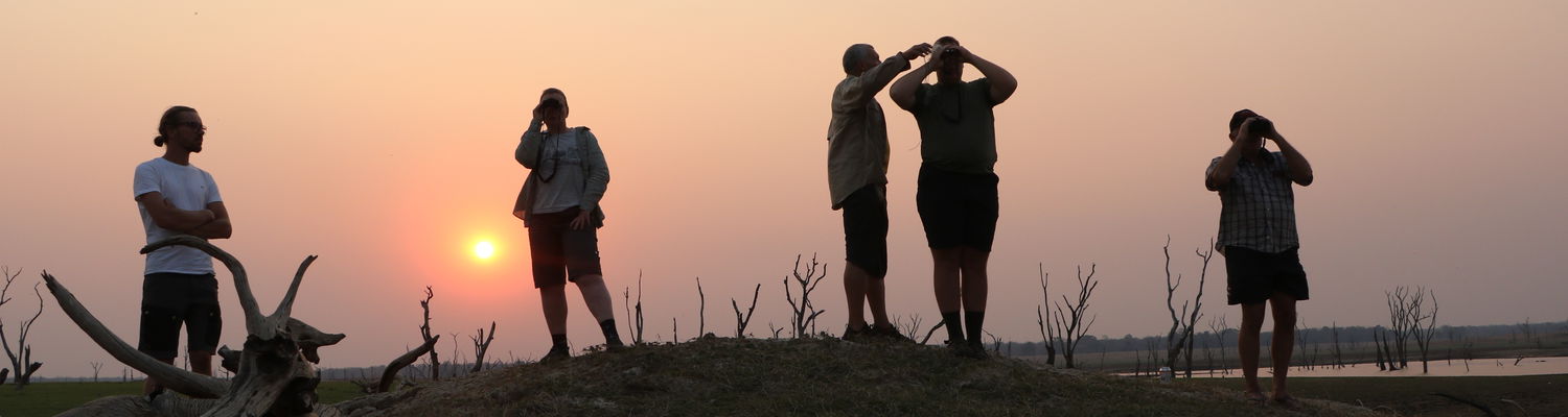 Kafue National Park Zambia 