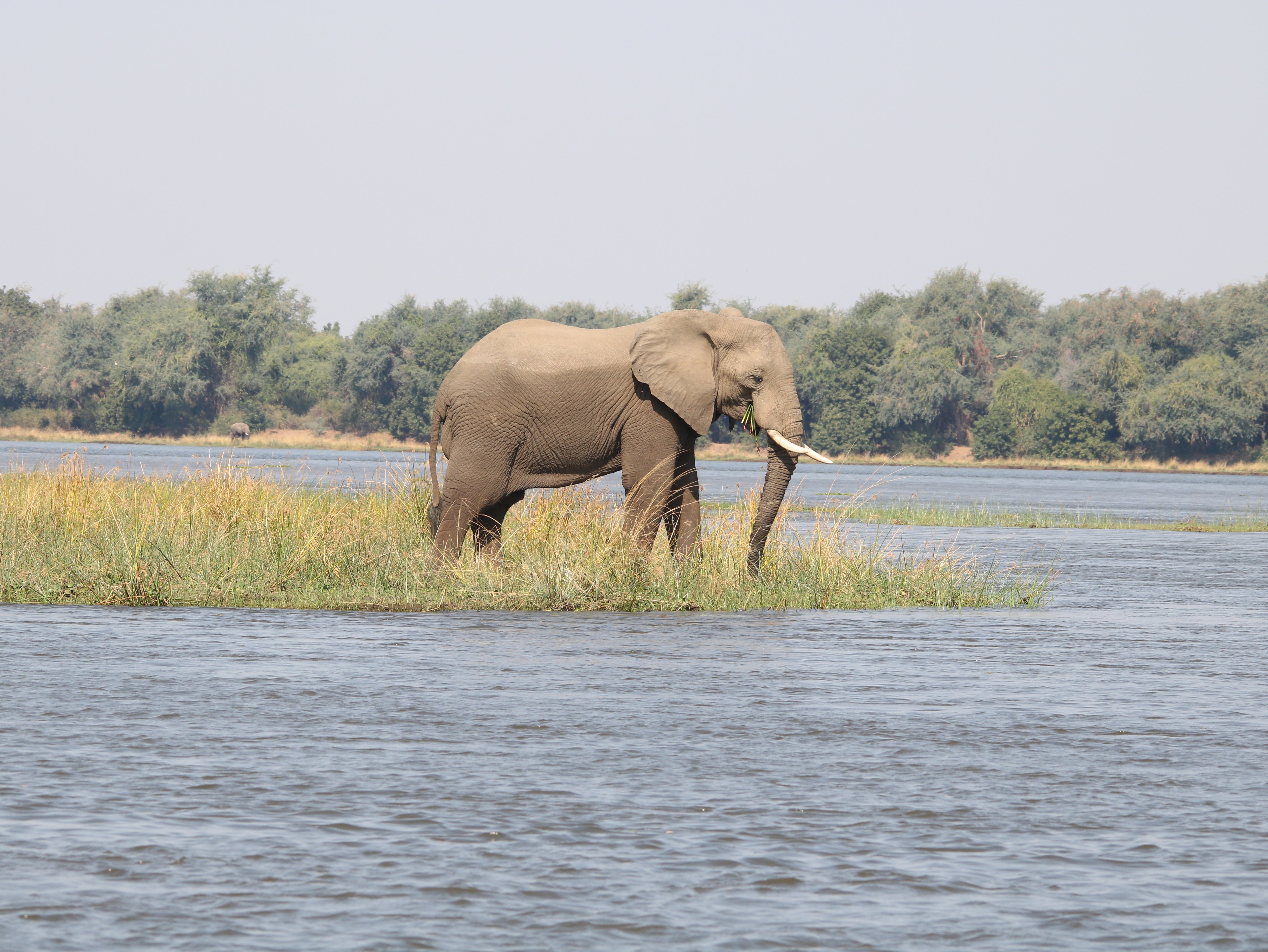 Zambezi Valley 
