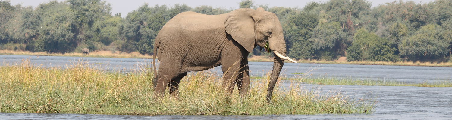 Zambezi Valley