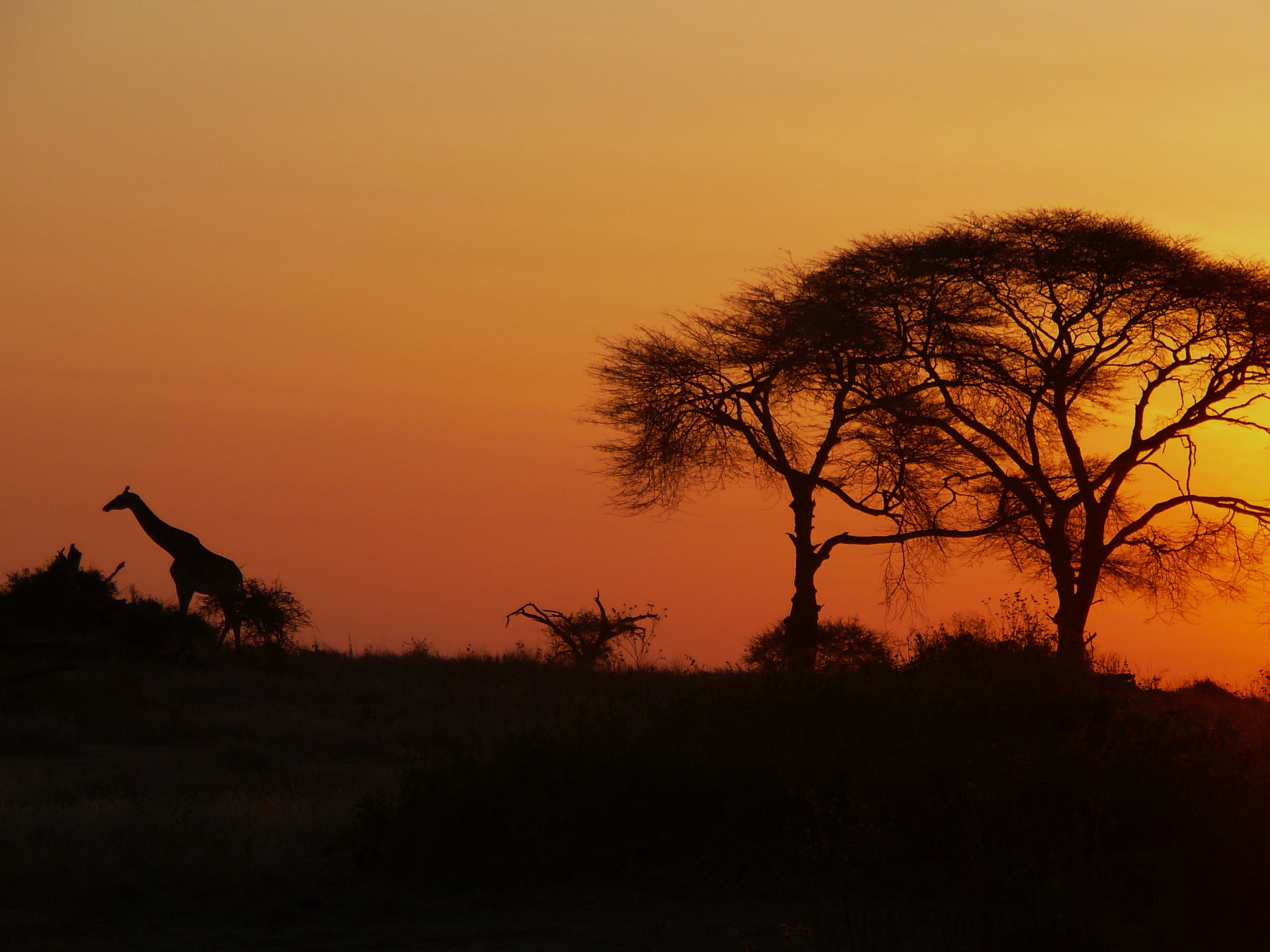 Sunset Luangwa