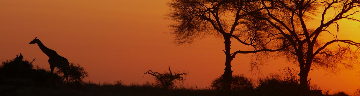 Sunset Luangwa