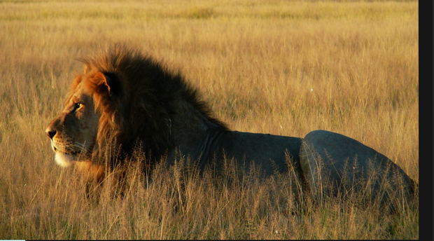 Safaris in Sambia vom Experten Safaris in Sambia vom Experten