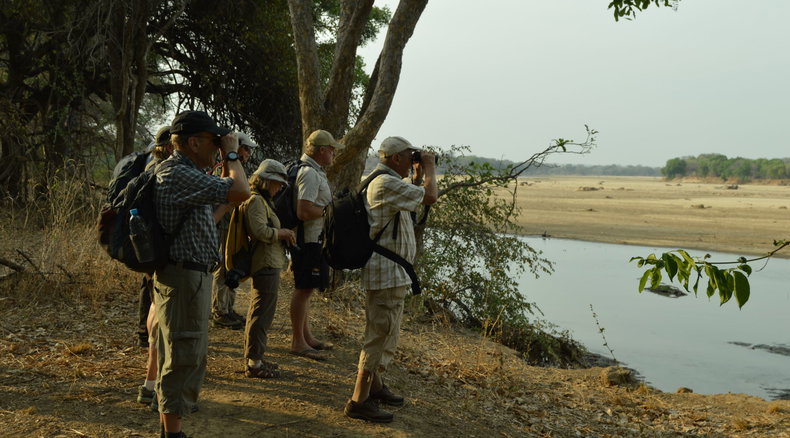 budget walking safari Zambia 