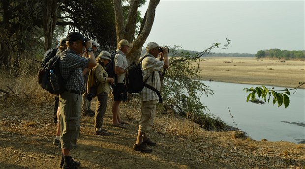 budget walking safari Zambia 